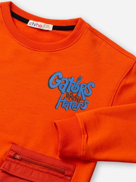  Áo nỉ bé trai bo gấu BSW311R 