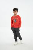  Áo thun bé trai dài tay BTL210R 