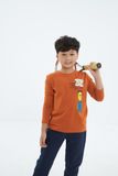  Áo thun bé trai dài tay BTL211R 