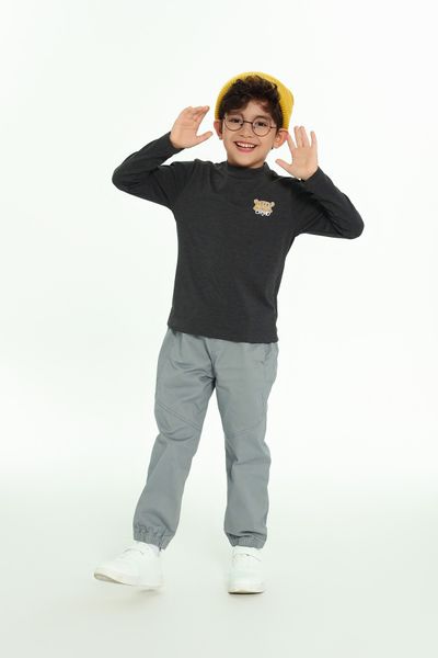  Áo thun bé trai dài tay CHIHO BTL305S 