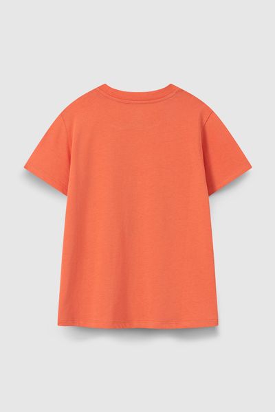  Áo phông bé trai CHIHO BTS402R 