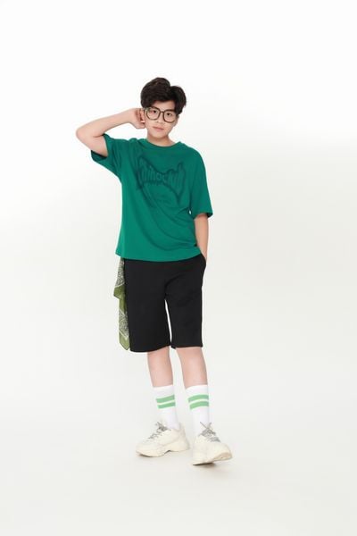  Áo phông teen boy CHIHO TTS404R 