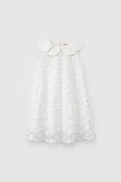  Váy liền bé gái CHIHO GDS513R 