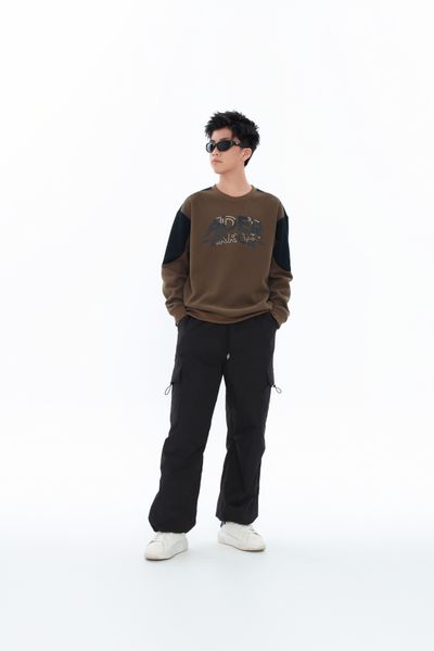  Áo nỉ teen boy CHIHO TSW408R 