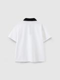  Áo polo teen boy CHIHO TPS403R 