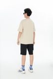  Áo phông Teen Boy CHIHO TTS503R 