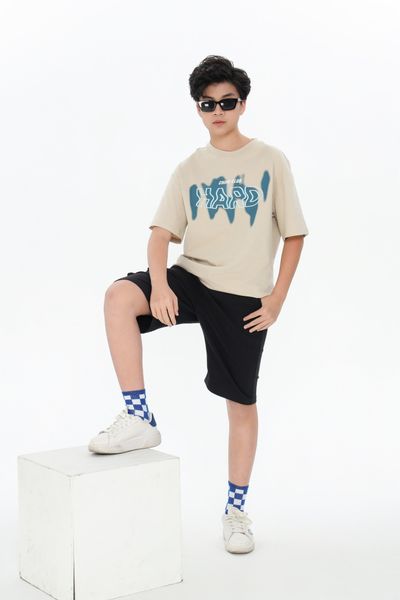  Áo phông Teen Boy CHIHO TTS503R 