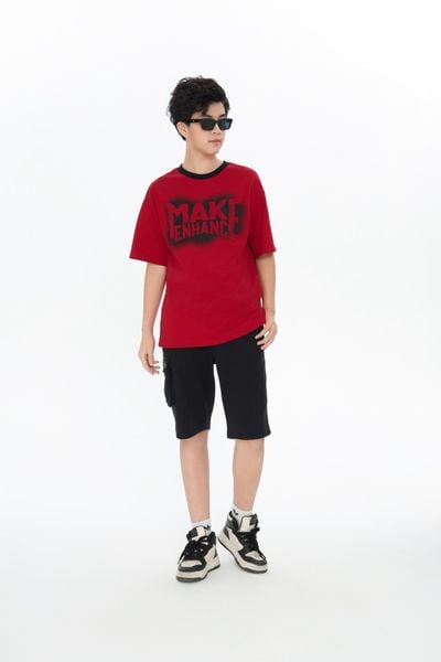  Áo phông Teen Boy CHIHO TTS528R 