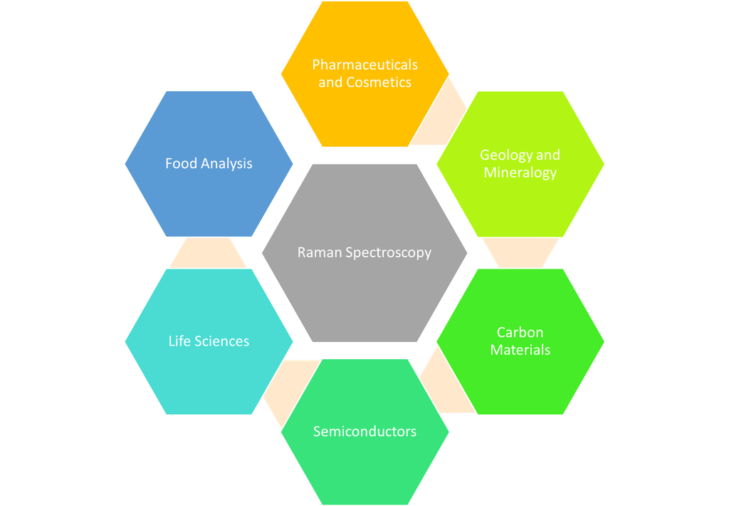  Raman Application 
