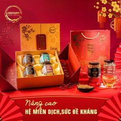 Quà Tặng Thịnh Vượng - 2 Hộp Đông Trùng Hạ Thảo Sấy Thăng Hoa 12.5g, Tặng Linh Chi va Hoa Sâm, Tam Thất