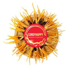 Đông Trùng Hạ Thảo Nguyên Con Ký Chủ Nhộng Tằm CordyHappy (Hộp 10g)