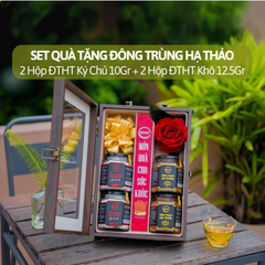 Bộ Quà Tặng Sum Vầy Tâm Giao - Đông Trùng Hạ Thảo Thượng Hạng CordyHappy