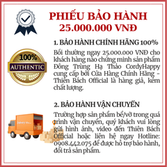 Set Quà Khởi Sắc - Đông Trùng Hạ Thảo 12.5Gr, Nhụy Hoa Nghệ Tây Saffron Jahan, Bình Hoa Cúc