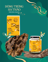 Set Quà Tâm Giao - Đông Trùng Hạ Thảo 6Gr, Nhụy Hoa Nghệ Tây Saffron Salam