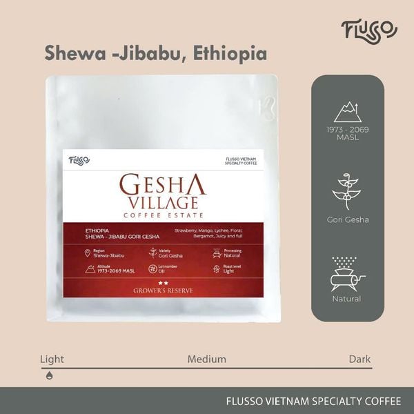  Cà phê Specialty Ethiopia Gesha Village Shewa - Jibabu Gori Gesha 