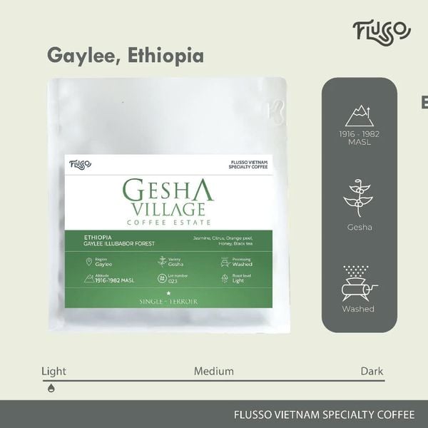  Cà phê Specialty Ethiopia Gesha Village Gaylee Illubabor Forest Washed 