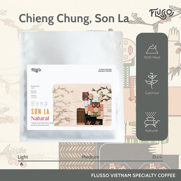  Cà phê đặc sản Arabica Sơn La 