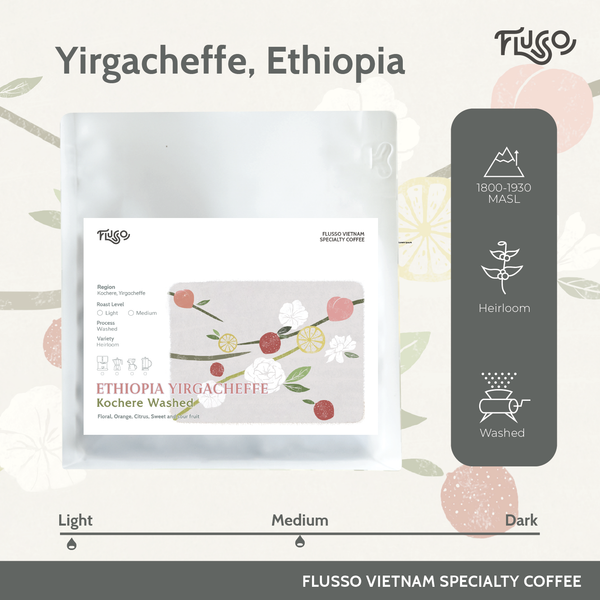  Cà phê Specialty Ethiopia Yirgacheffe Kochere G1 Washed 