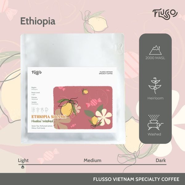  Cà phê Specialty Ethiopia Sidamo Huakui Washed 
