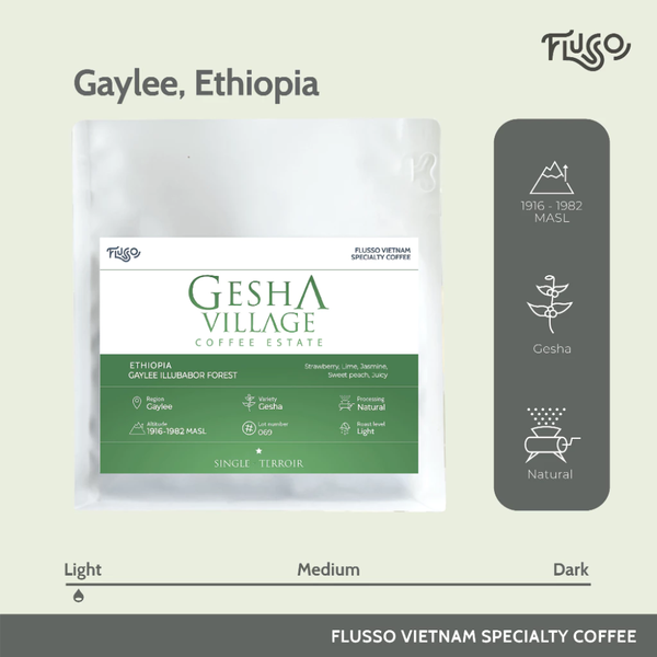  Cà phê Specialty Ethiopia Gesha Village Gaylee lllubabor Forest Natural 