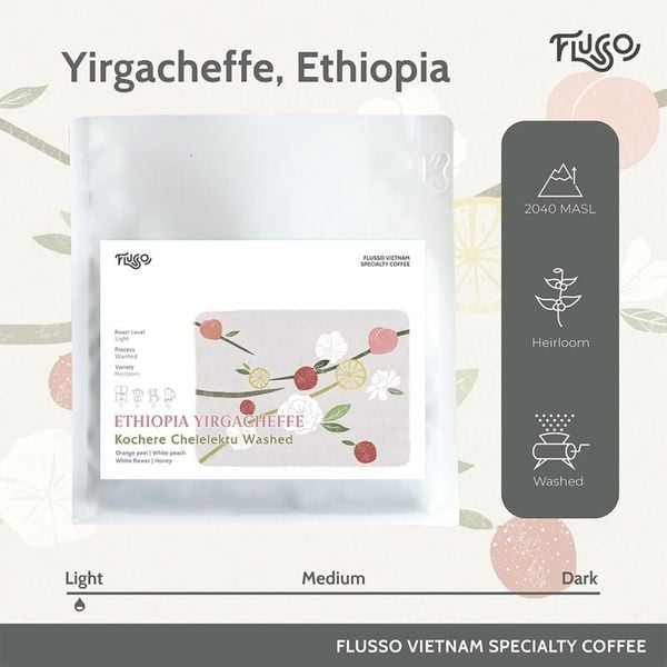  Cà phê Specialty Ethiopia Yirgacheffe Kochere Chelelektu Washed 
