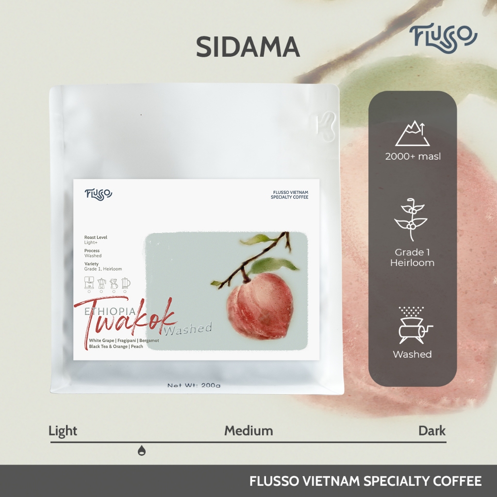  Cà phê Specialty Ethiopia Sidama Twakok Washed 