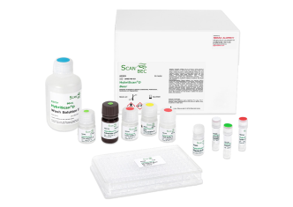 Hệ thống định danh nhanh HybridScan