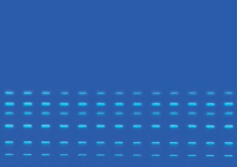 Bản mỏng HPTLC (High-Performance Thin-Layer Chromatography)