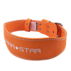 Đai Eo Tập Gym LS0828 Bảo Vệ Thắt Lưng Chắc Chắn, Thoáng Khí, Dễ Dàng Điều Chỉnh