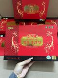  Hồng sâm người lớn 