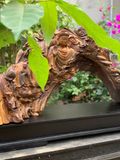  Tượng Nhất Tâm Bái Phật Gỗ Bách Xanh Nguyên Khối Có Thiết Kế Xông Trầm 