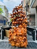  DiLạc Ngũ Phúc Ngồi Gốc Đào Gỗ Hương Ta Liền Khối 