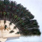  Quạt lông công siêu dày 8 lớp BKFACN-9263 