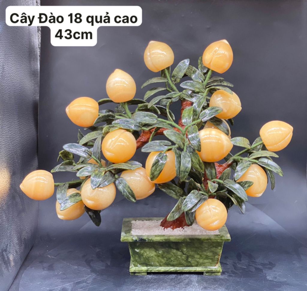  Cây Đào Ngọc Hoàng Long  18 quả cao 43cm 