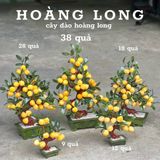  Cây Đào Phong Thuỷ Đá Ngọc Hoàng Long Cao Cấp 