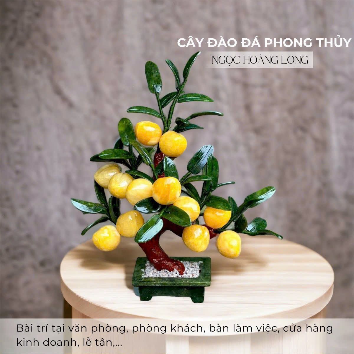  Cây Đào Đá Ngọc Hoàng Long Phong Thuỷ, Đa Dạng Kích Cỡ 