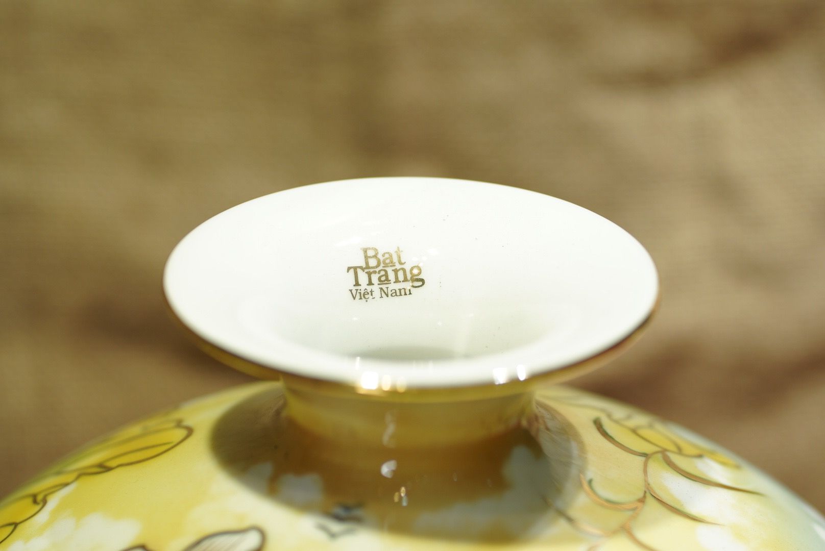  BÌNH HÚT TÀI LỘC CÁ CHÉP TRÔNG TRĂNG 