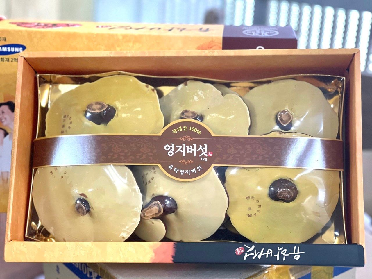  Nấm linh chi Hàn Quốc 