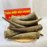  Sừng trâu nước làm thuốc 