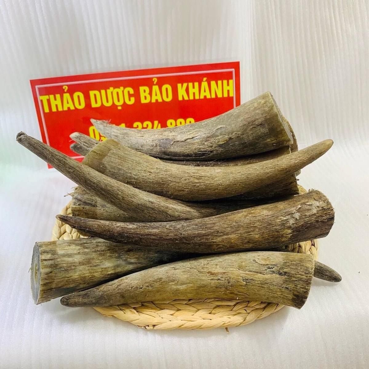  Sừng trâu nước làm thuốc 