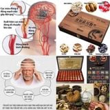  Bổ não An Cung Ngưu Hoàng Hoàn BKHEKR-9038 