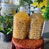  Sâu chít ủ rượu thơm BKNHVN-9011 