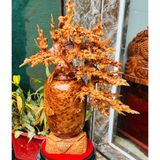  Bình hoa mai gỗ nu ngọc am BKWOVN-9074 