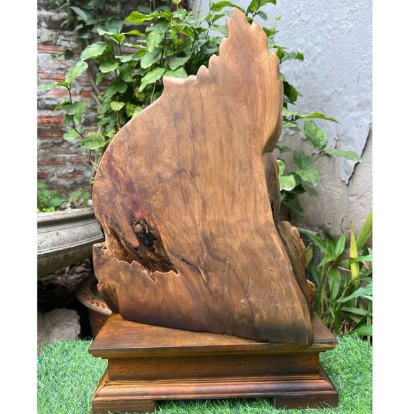  Tác phẩm cụ thọ tiên BKWOVN-9092 