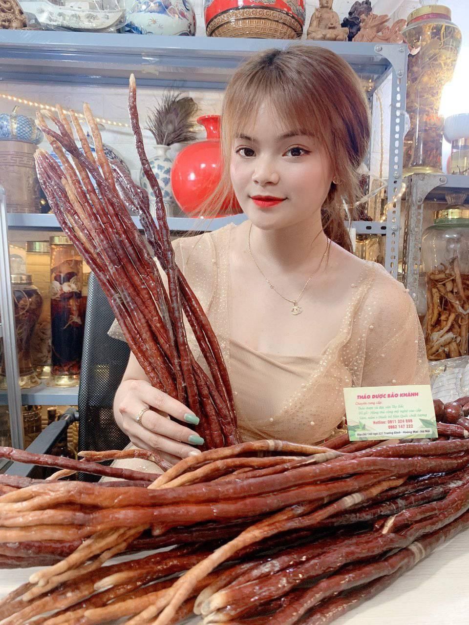  Nấm Linh Chi Sừng Hươu 