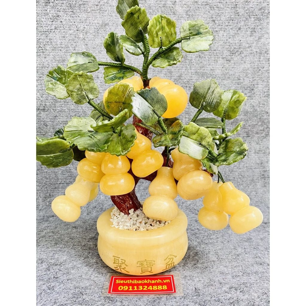  Cây hồ lô đá ngọc 