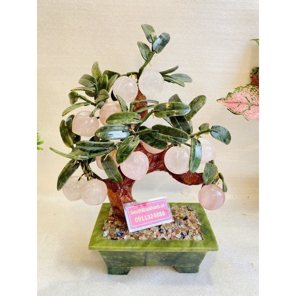  Cây đào đá ngọc 