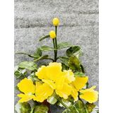  Chậu hoa vàng chất liệu đá ngọc 