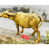  Trâu đồng phong thủy cao cấp 30 cm-mỹ nghệ bảo khánh 