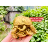  Tượng cụ rùa nằm trên vàng 